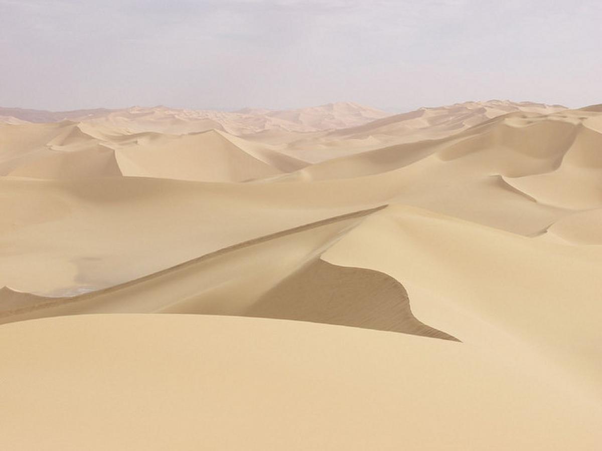 Sahara Sand - Society for Interdisciplinary Studies