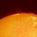 Coronal loops
