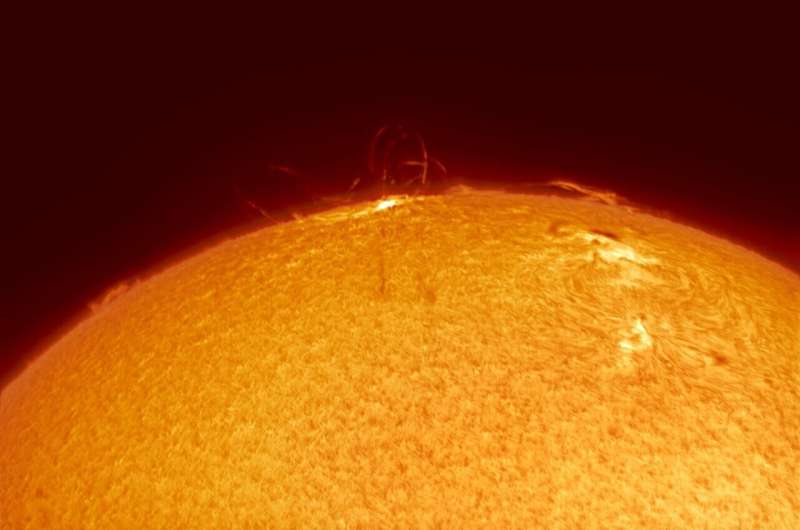 Coronal loops