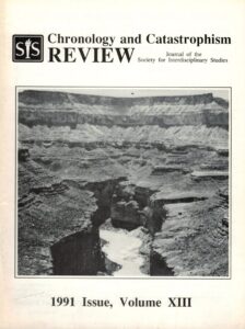 SIS Review 1991 v13 cover